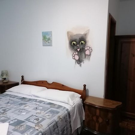 Albergo Alle Alpi Comeglians Exteriör bild